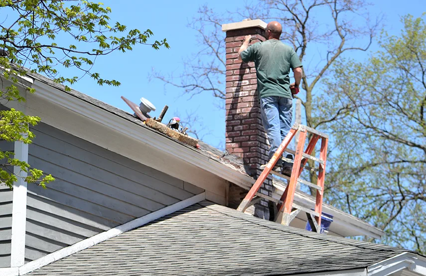 Chimney & Fireplace Inspections Services in Canton, GA